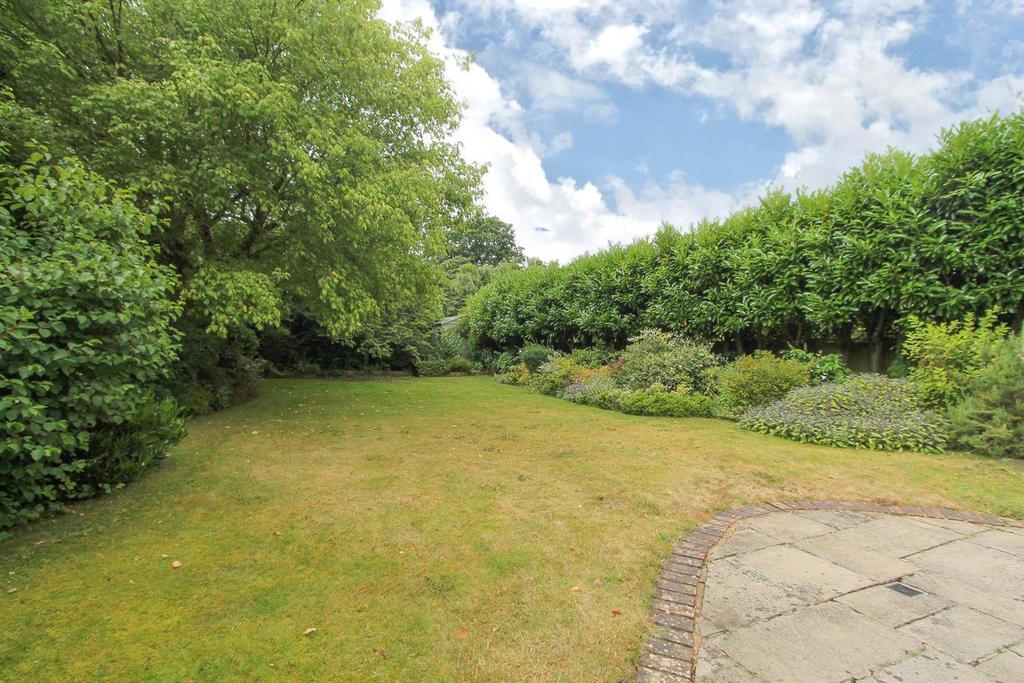 245ba2a4-c3e6-4038-92bb-a89472b6ba36 (1).jpg
