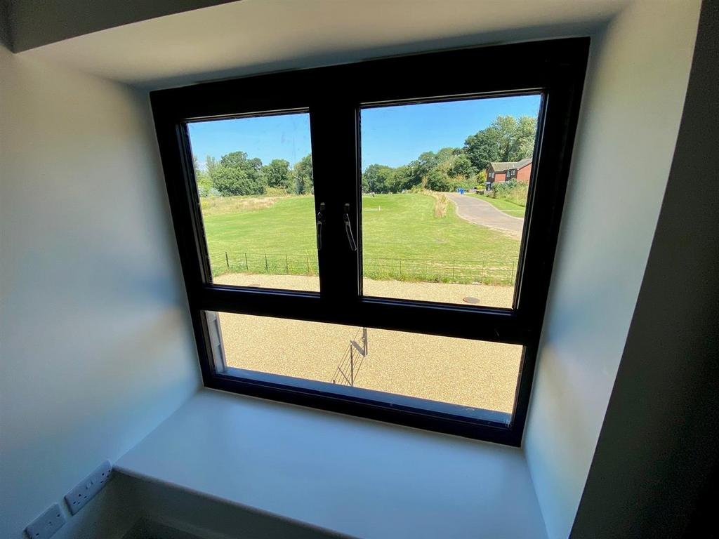 WINDOW.jpg