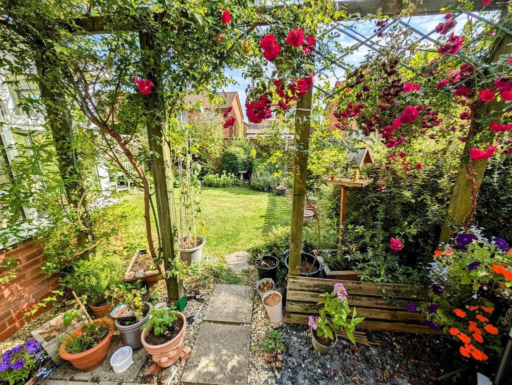 39 Shackleton garden 1.jpg