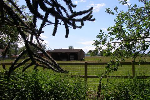 3 bedroom detached bungalow for sale, Pilgrims Lane, Canterbury CT4