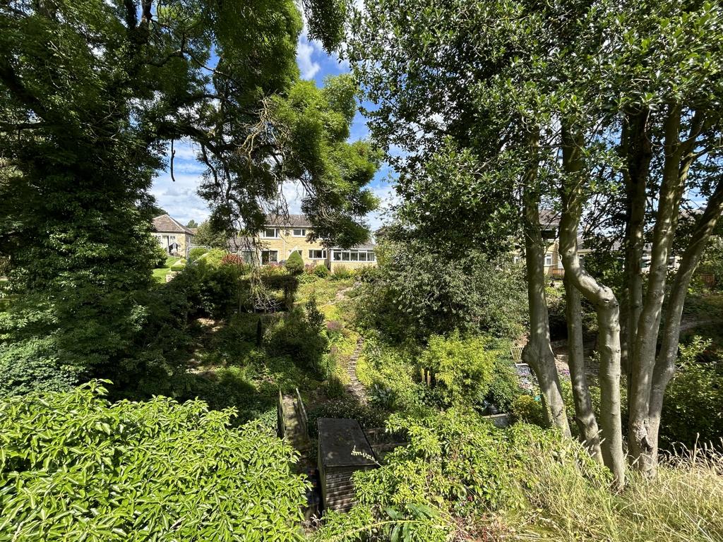 Img 3748