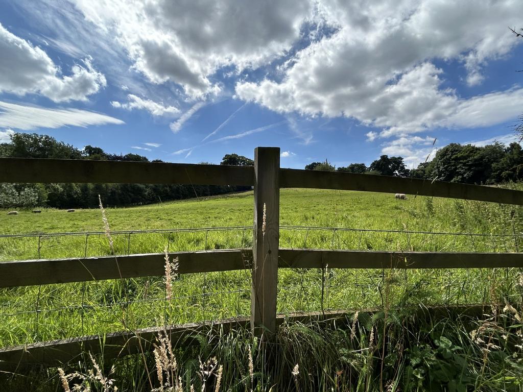 Img 3754