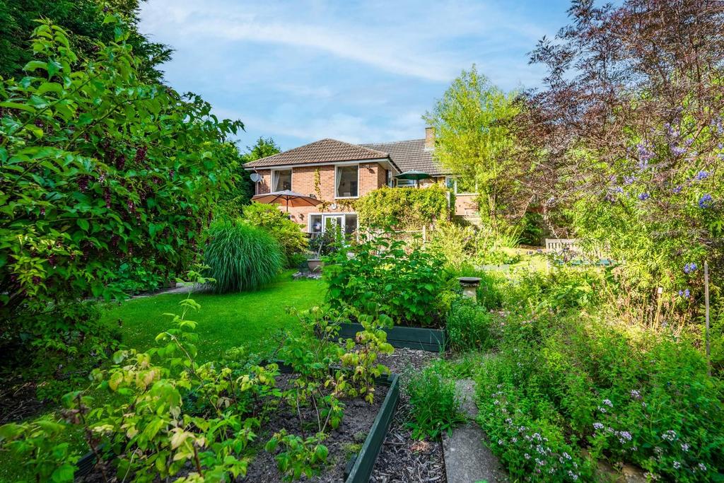 REAR GARDEN 03.jpg