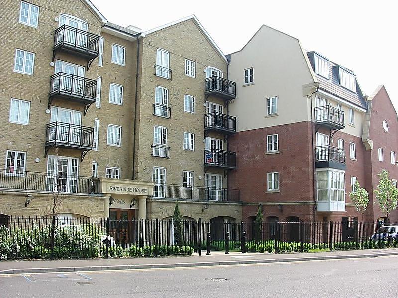 Main Image (Main)