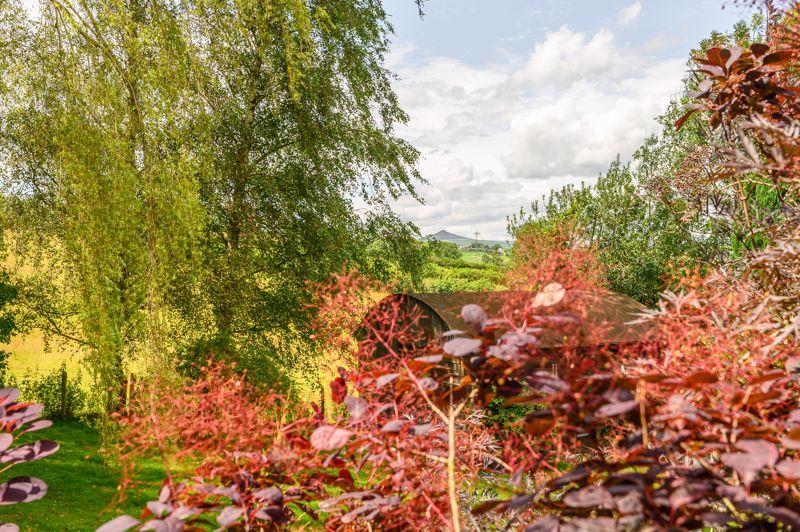 Garden and View