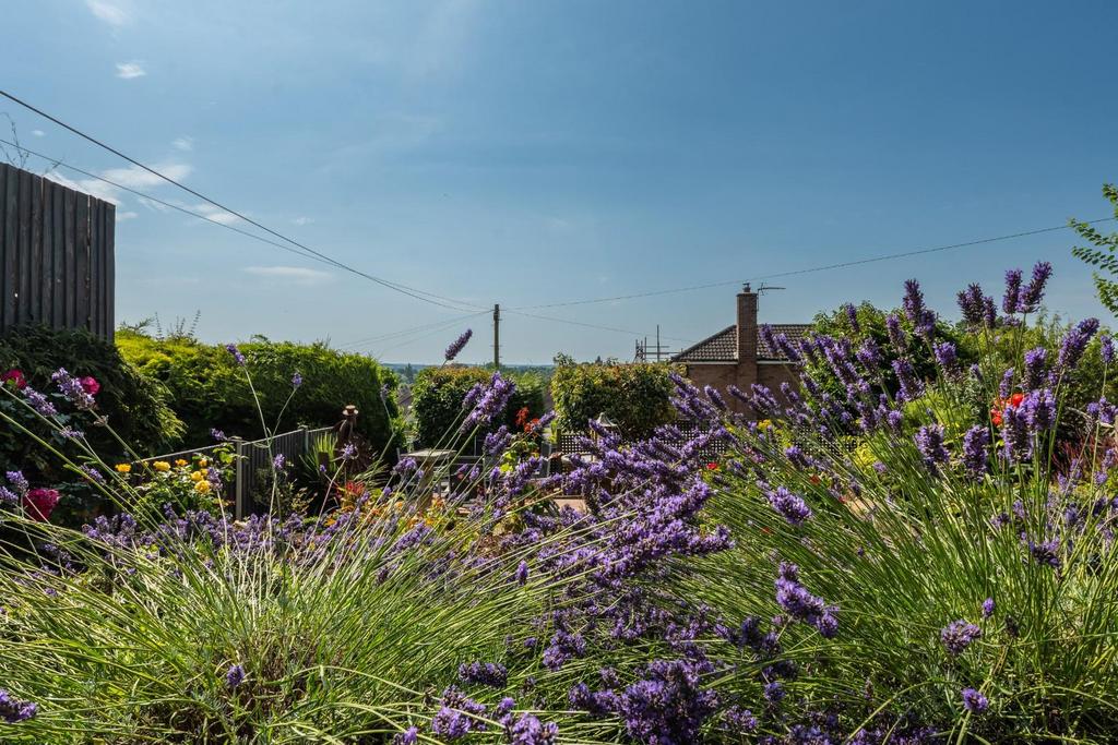 Garden-5.jpg