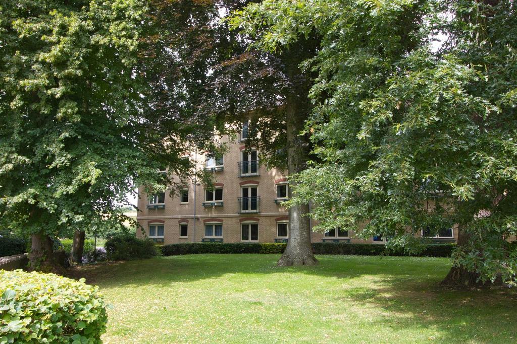 Communal garden