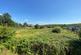 Additional image 13 of Cwmgarw Road, Rhosamman, Ammanford