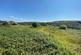 Additional image 9 of Cwmgarw Road, Rhosamman, Ammanford