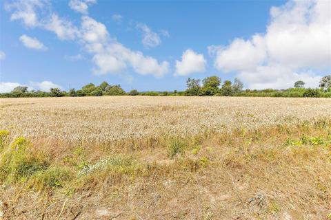 undefined, Oasthouse Field, Ivychurch, Romney Marsh, Kent