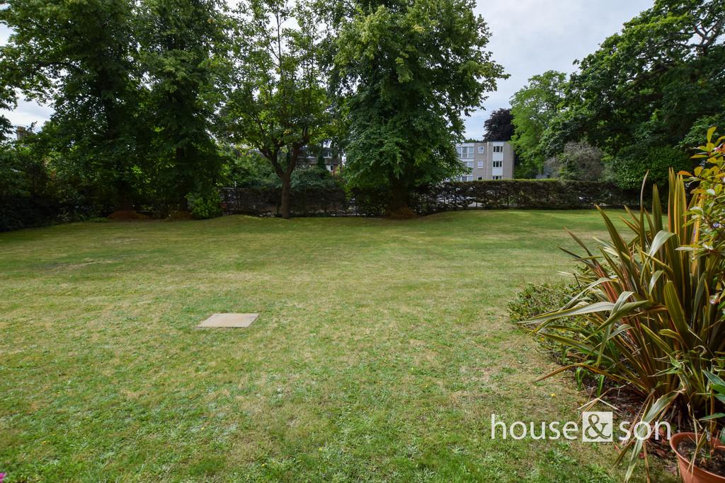 Garden from patio