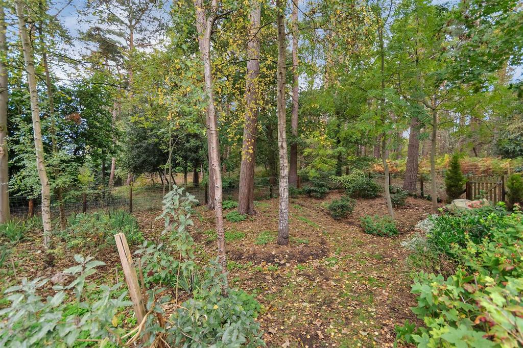 Woodland