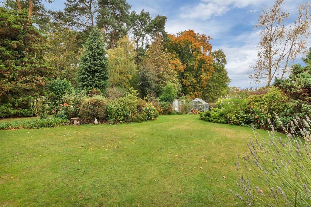 Rear Gardens