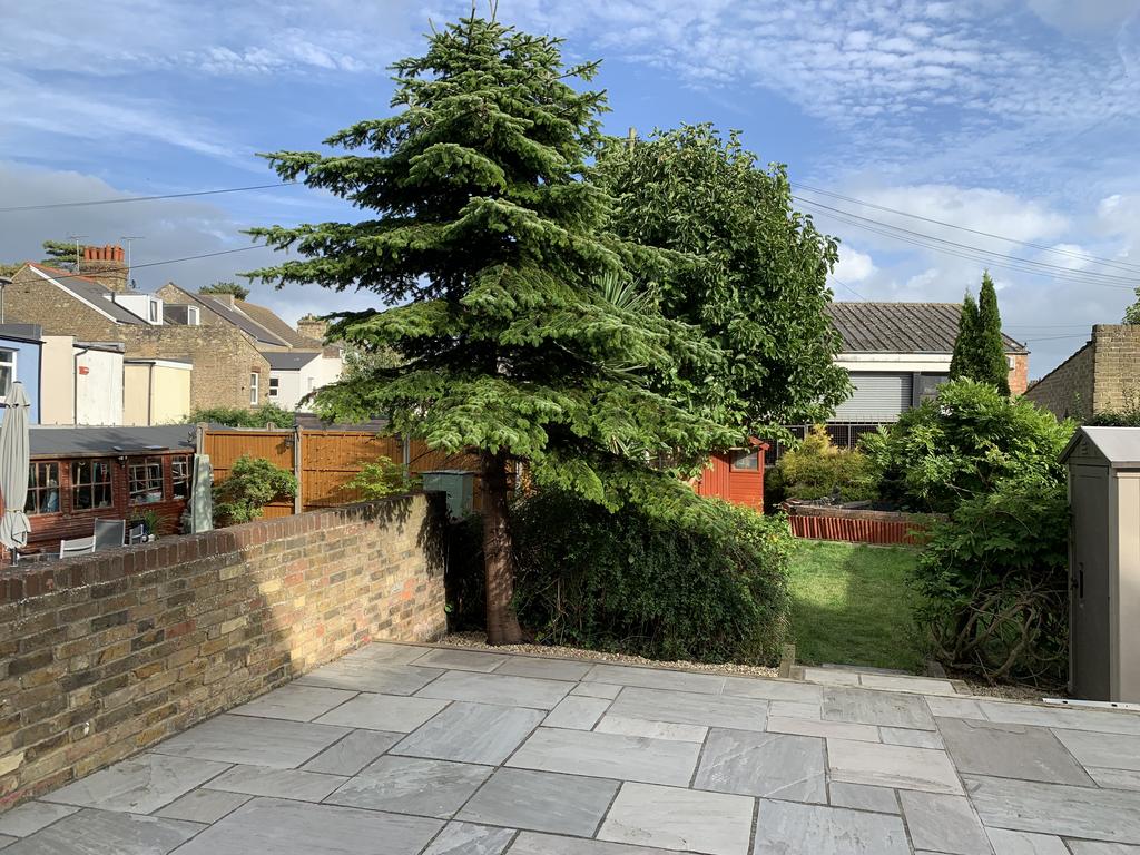 Picture 25