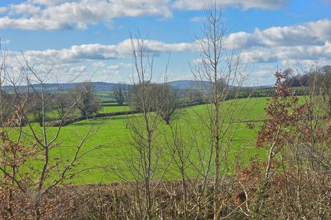 45 Carpenter Way, Tavistock, PL19 0FL