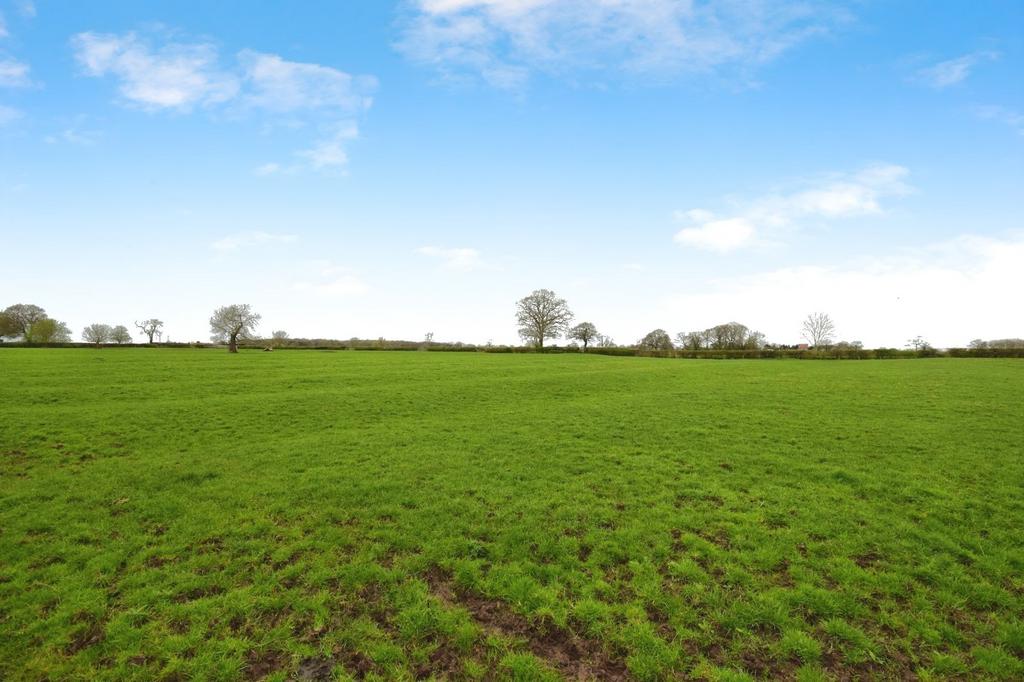 Open Farmland Views