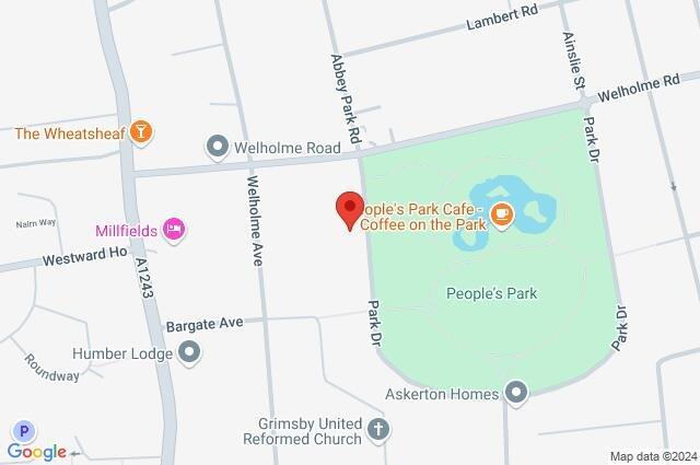 Google Maps Image