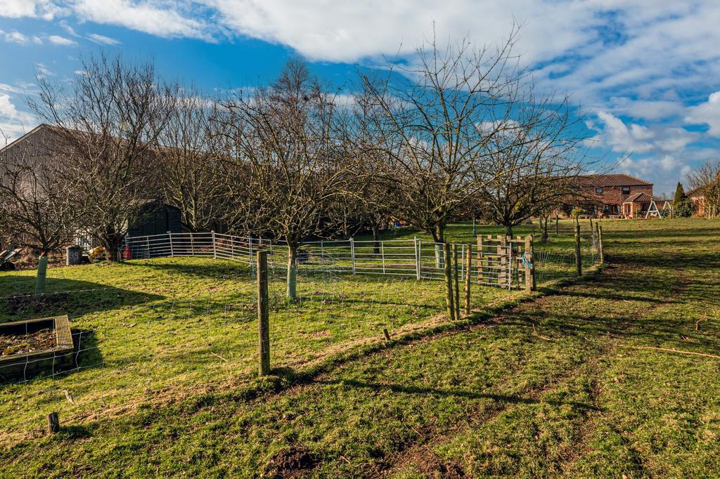 Orchard