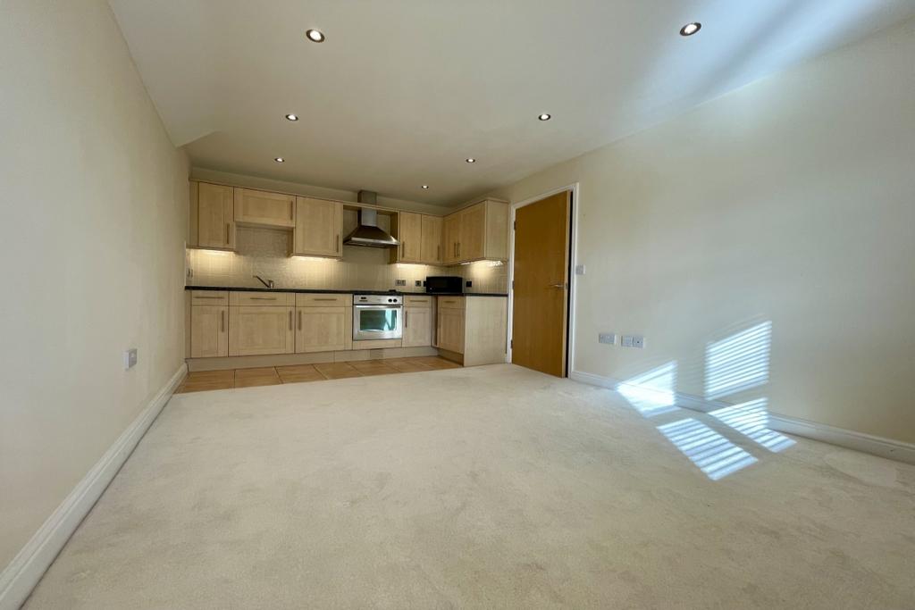 Kitchen / Living Roo