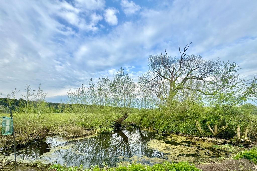 Farm Stock Pond