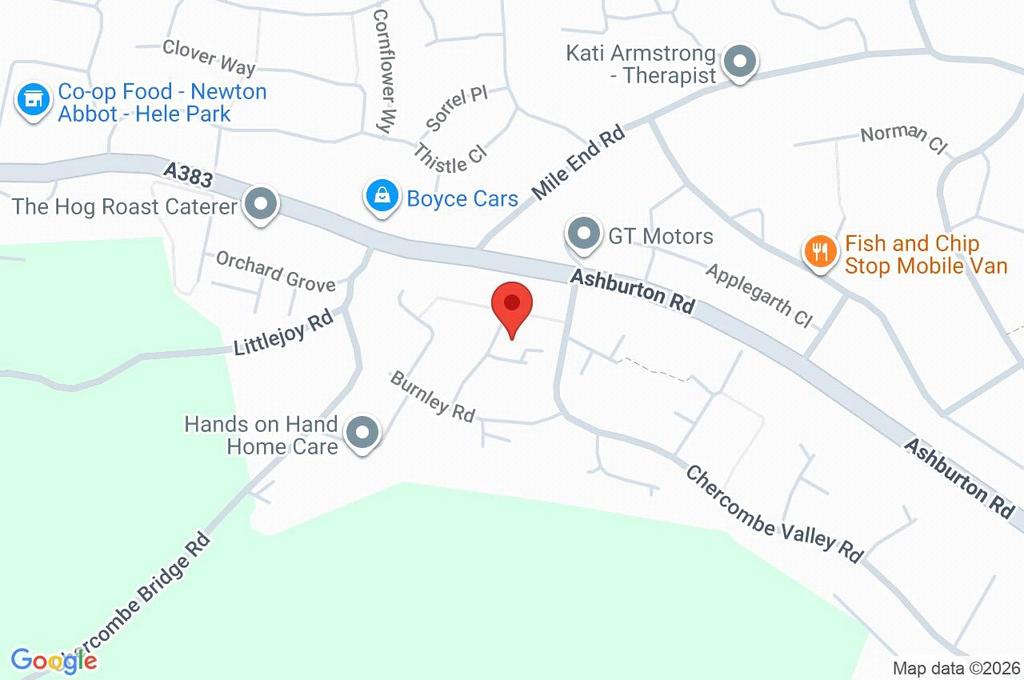 Google Maps Image