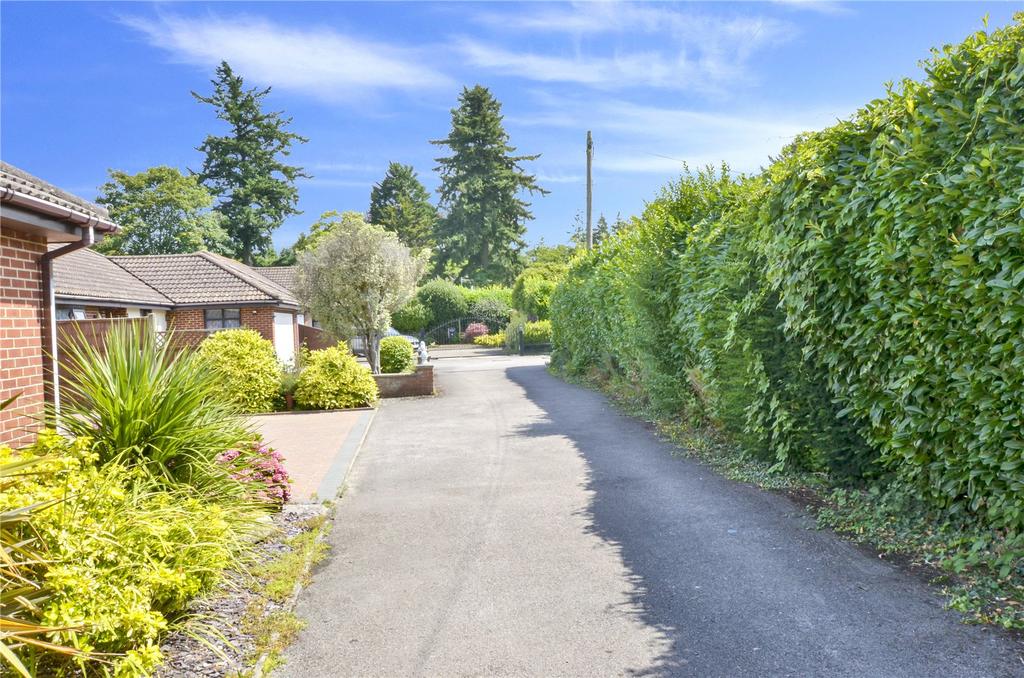 Driveway View