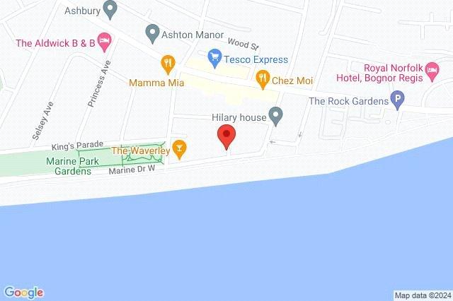 Google Maps Image