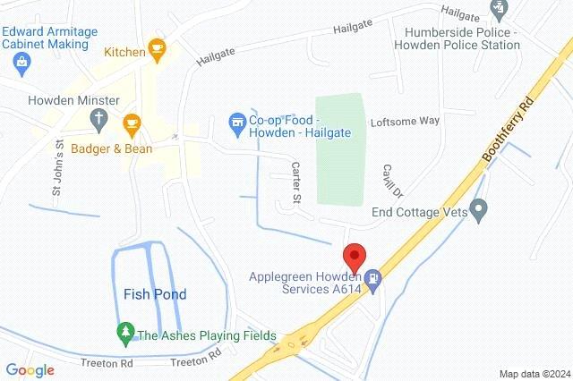 Google Maps Image