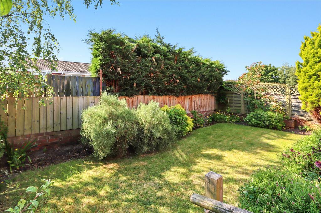Garden Pic 1