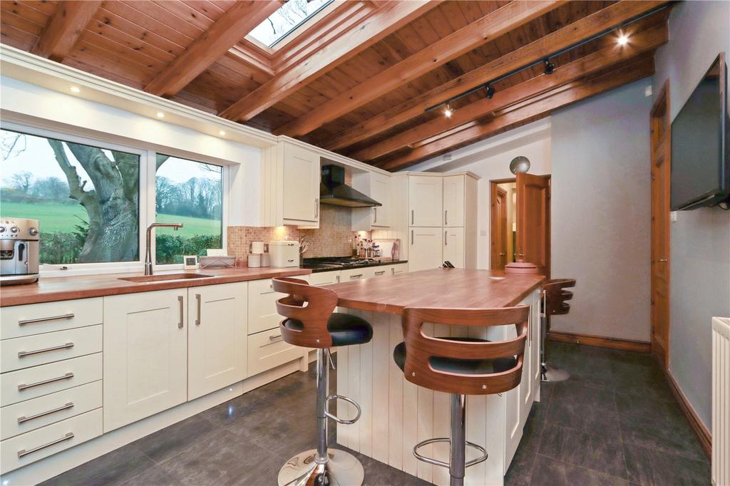 Kitchen Pic 2