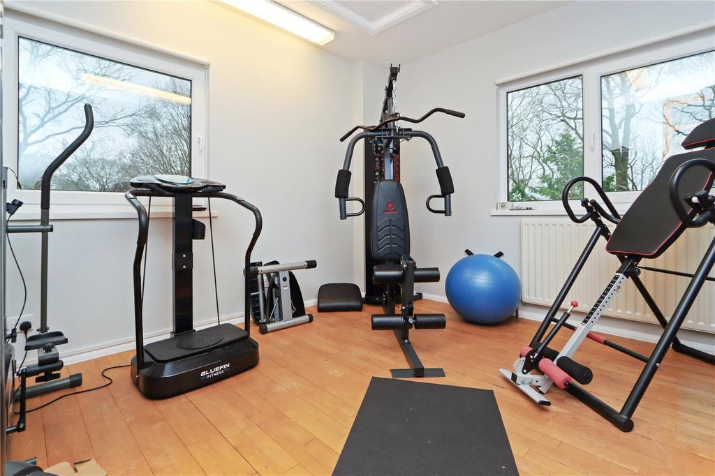Bedroom / Gym