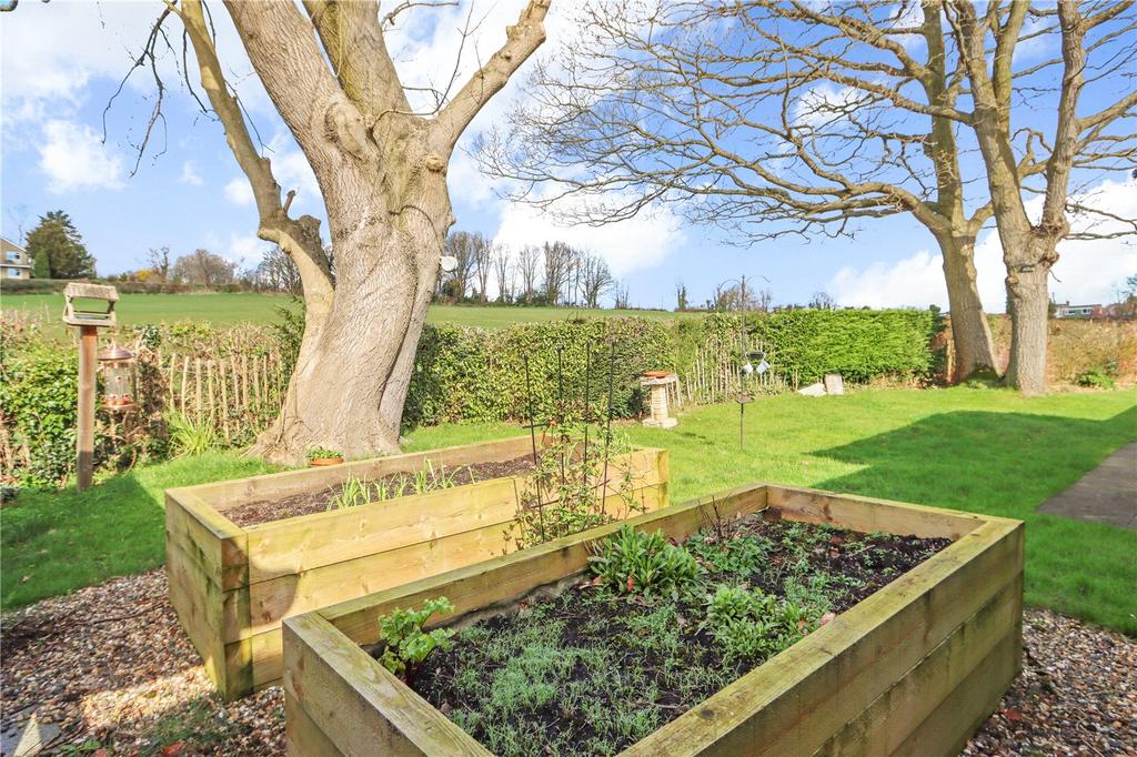 Rear Garden Pic 1