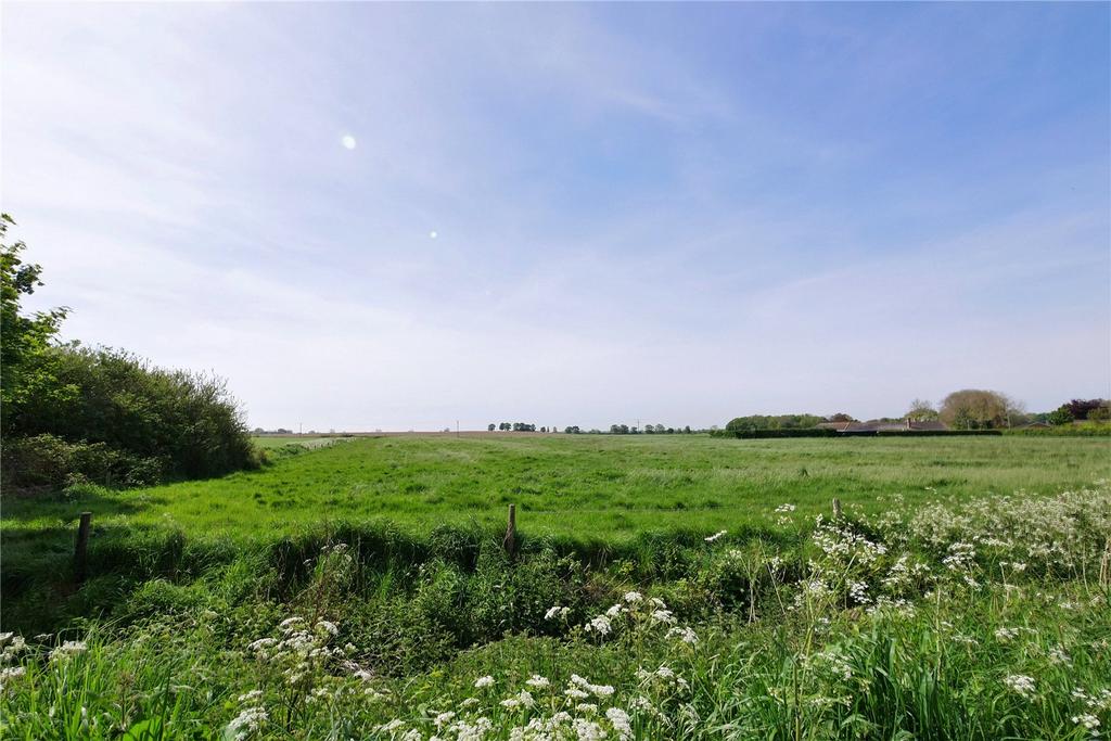 Countryside View