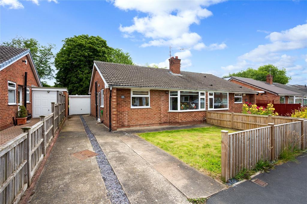 Photos