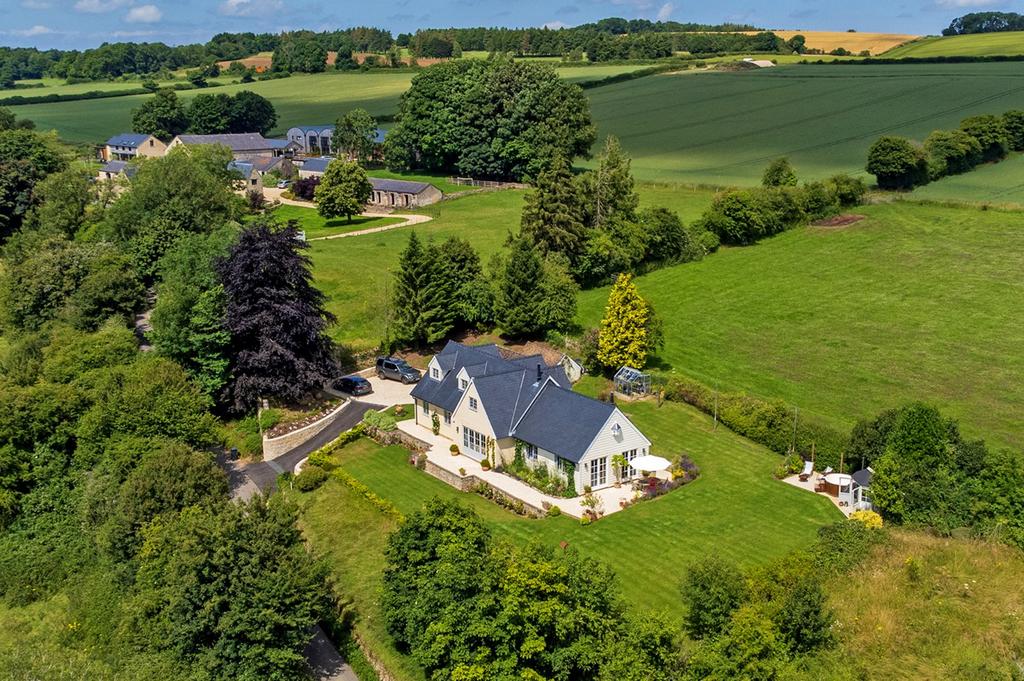 Aerial Profile