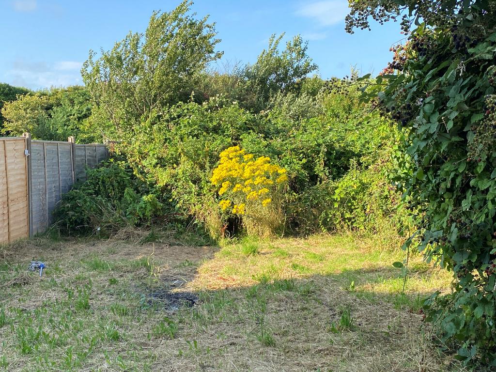 2024-08-02 22-03-25 img 0760 jpeg