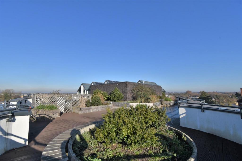 Communal Roof Garden