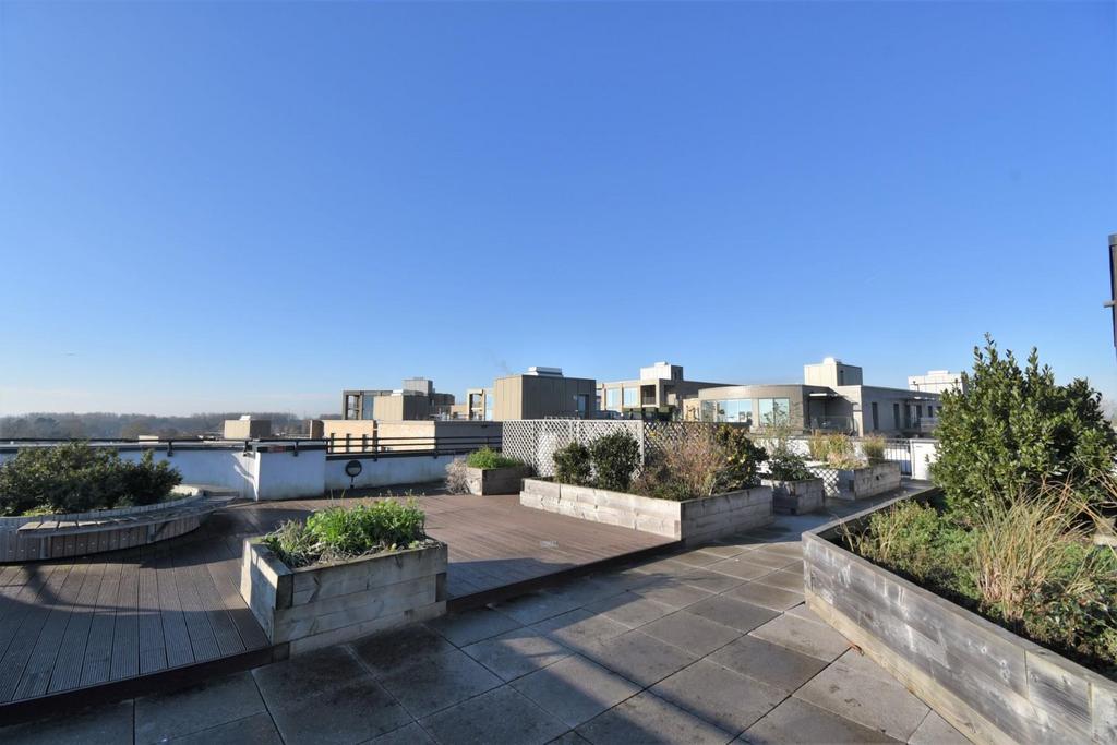 Communal Roof Garden
