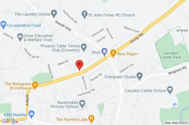 Google Maps Image