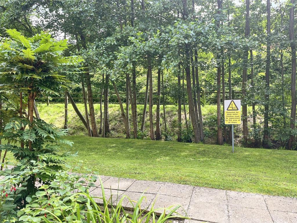 Woodland Set Behind