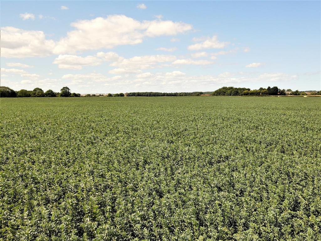 Farm land 2.JPG