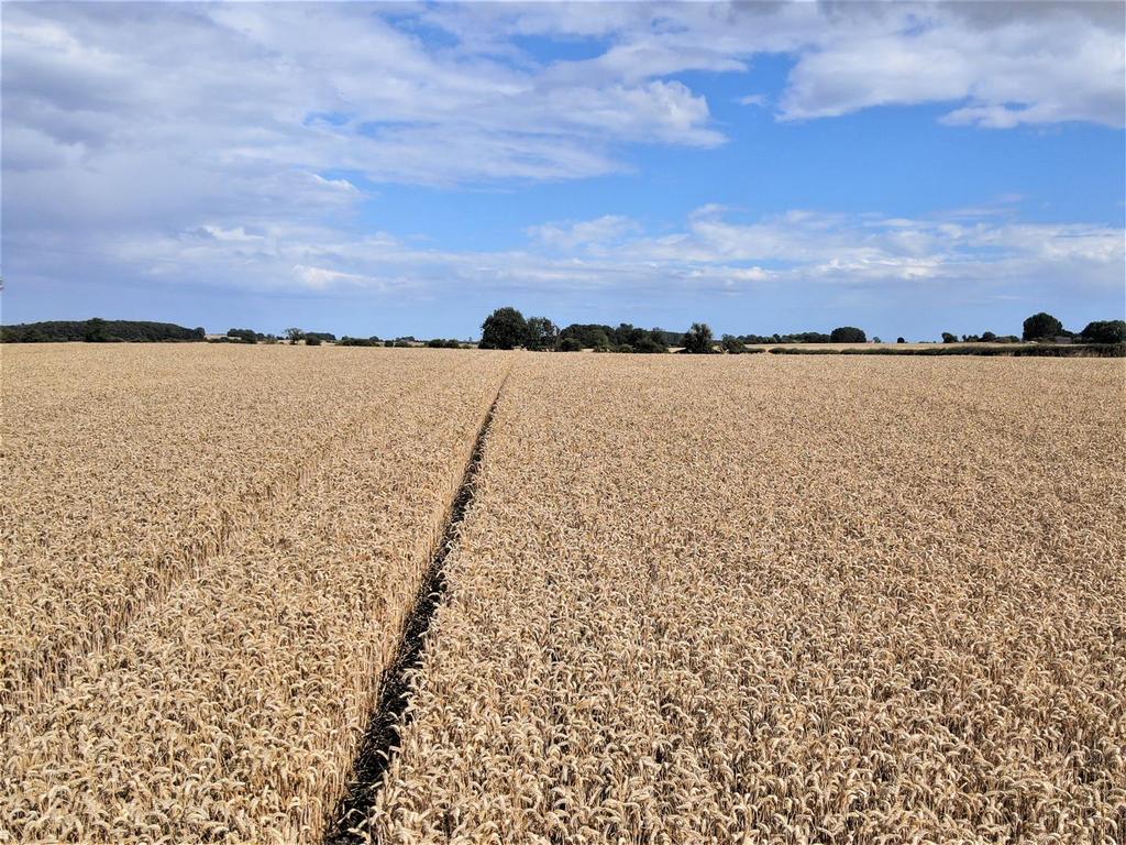 Farm land 3.JPG
