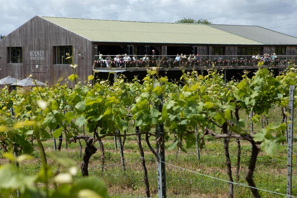 Bolney Wine Estate