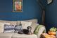 5 SC4 TN - Living Room A.jpg