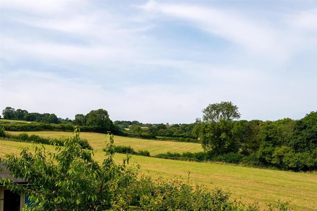DSC 1961.jpg