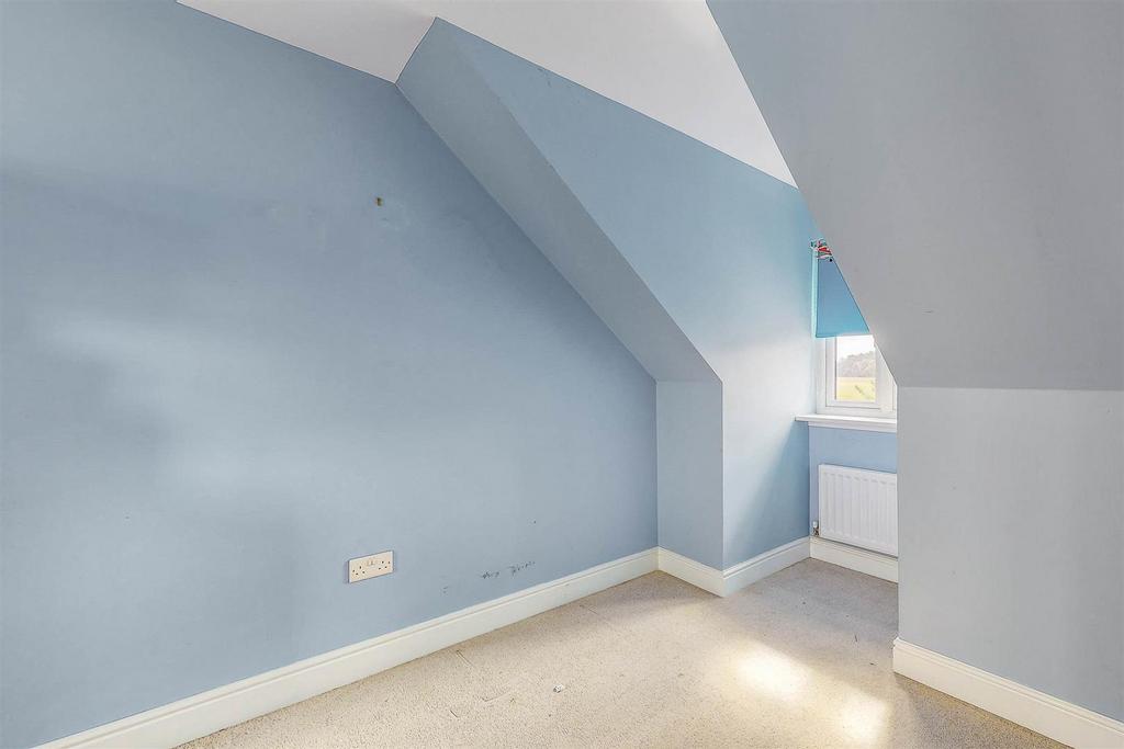 S016.jpg