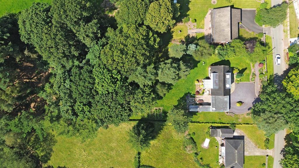 Dji 0093.jpg