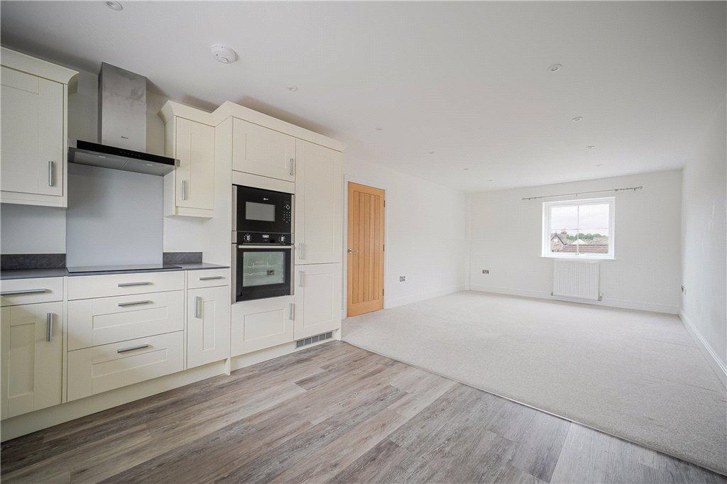 Kitchen/Living Area