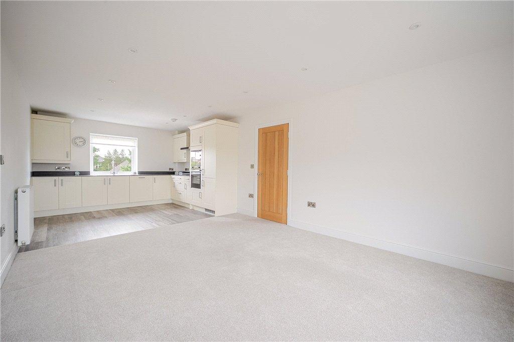 Living/Kitchen Area