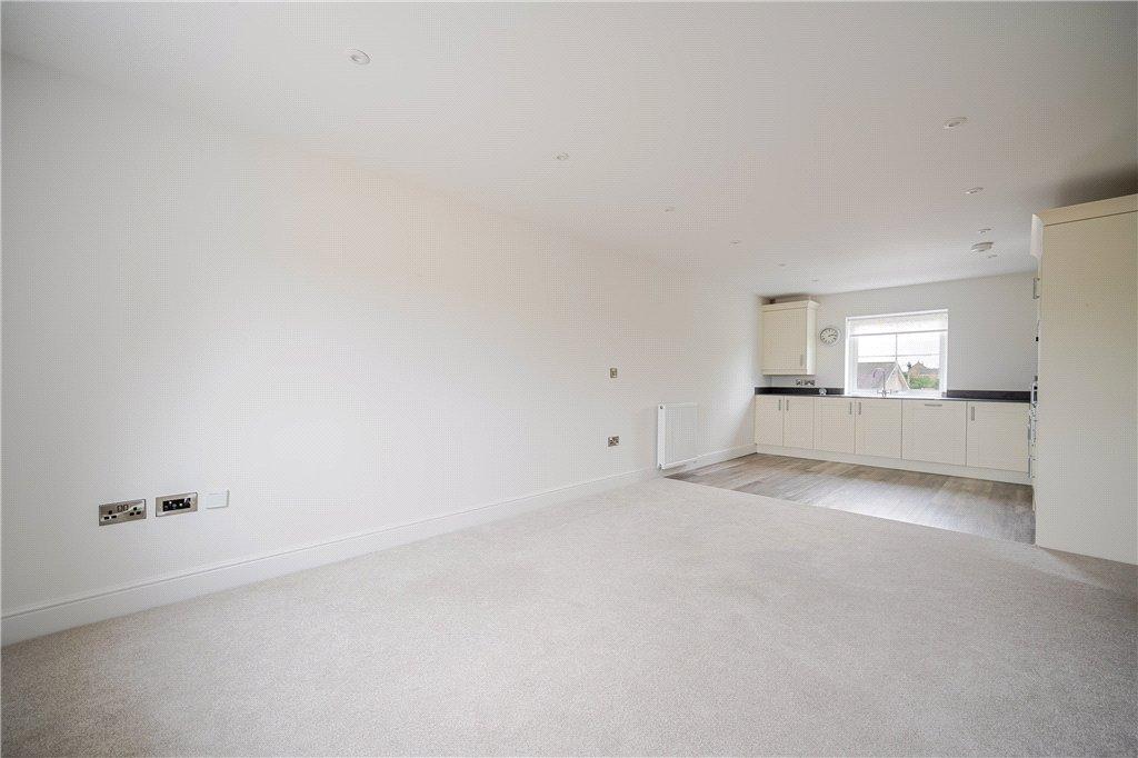 Living/Kitchen Area